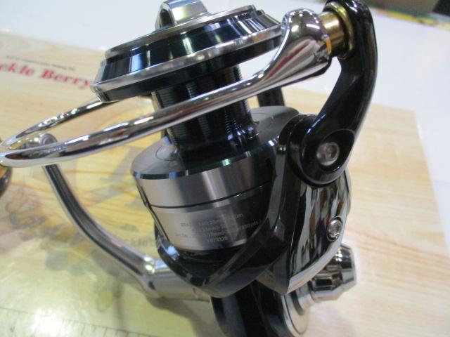 21セルテートSW 10000-P