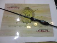 極鋭マルイカEX LC