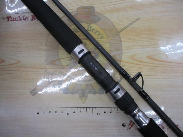 19ソルティーアドバンスショアジギング 100MH