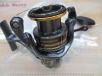 21アルテグラ C3000XG