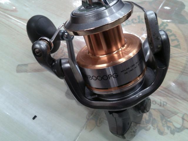 10バイオマスターSW 8000PG