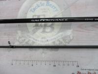 19ソルティーアドバンスエギング 83ML