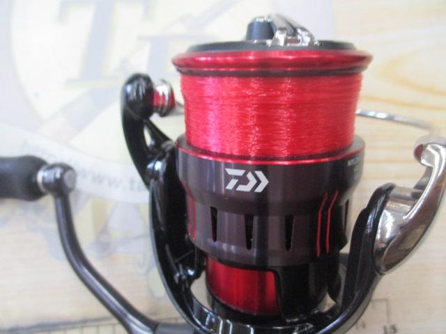 23月下美人 LT2000S