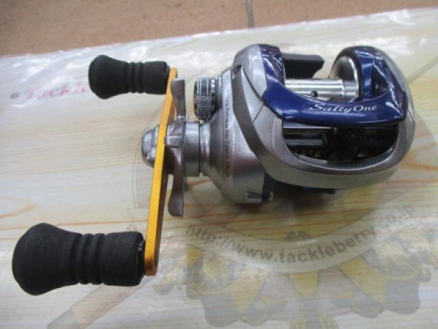 11ソルティーワンHG RH