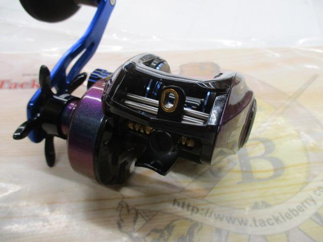 ソルティーステージジギング