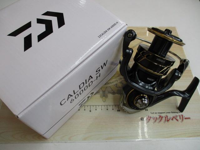 22カルディアSW 6000D-H