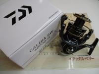 22カルディアSW 6000D-H