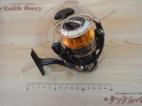 10セルテート 2500