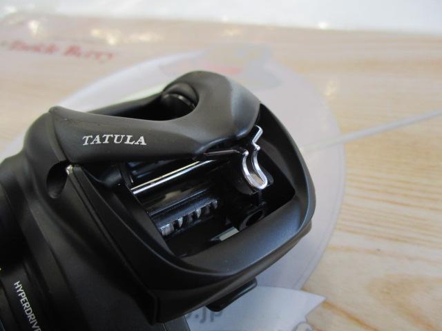 24タトゥーラ TW 100H