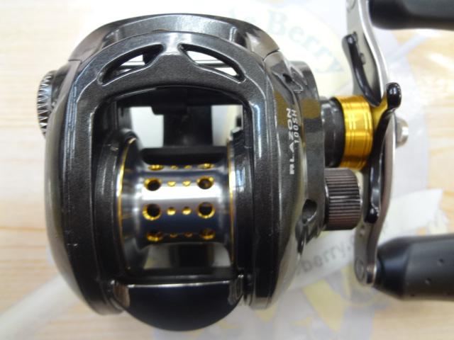 ブレイゾン 100H