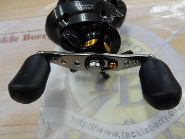 ブレイゾン 100H