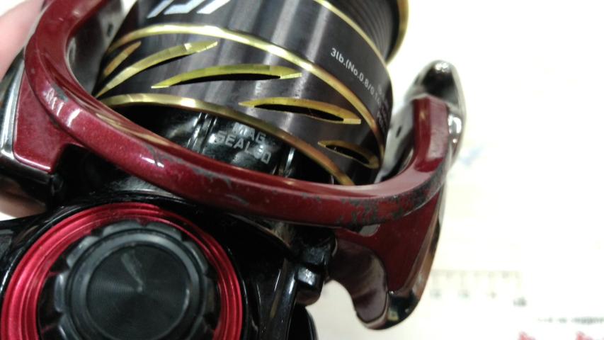 14月下美人 2504H