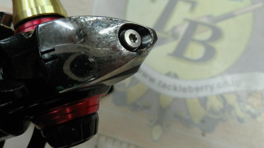 14月下美人 2504H