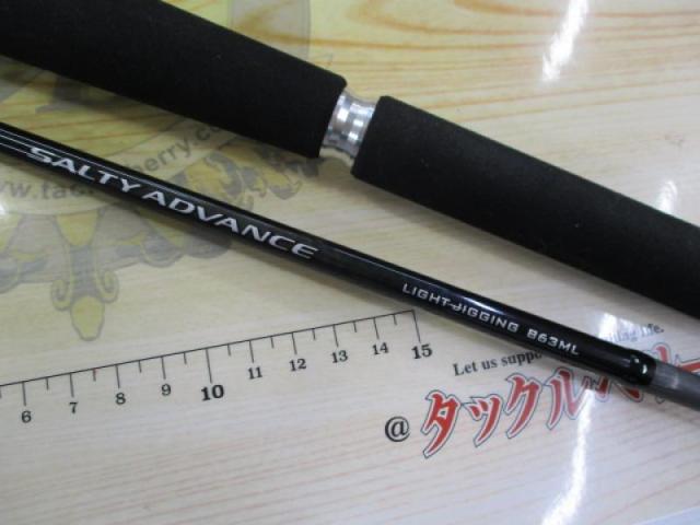 19ソルティーアドバンスライトジギング B63ML