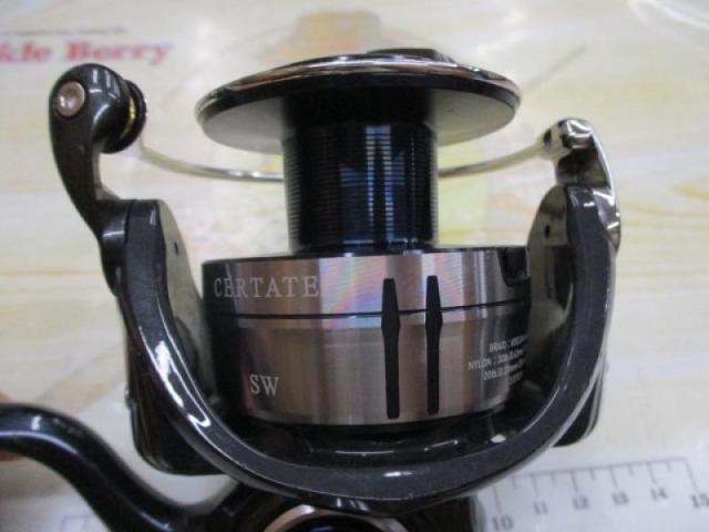 21セルテートSW 6000-XH