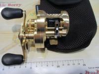 21カルカッタコンクエスト 100HG