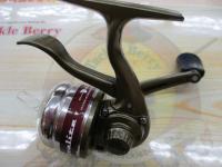 マイクロライト