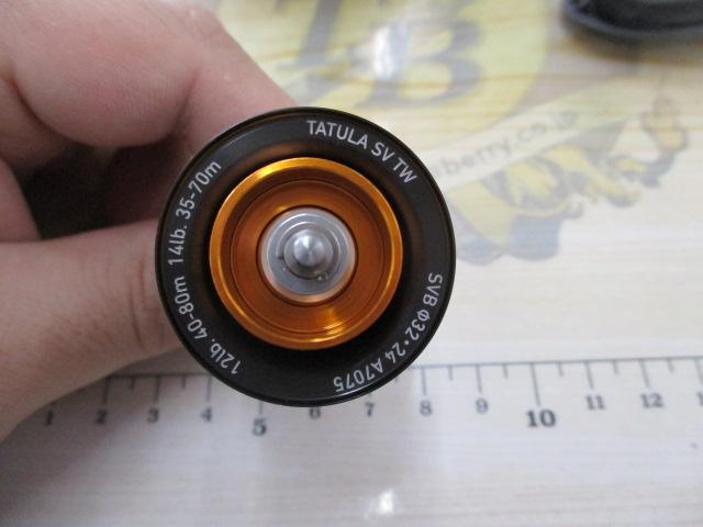 25タトゥーラ SV TW 100XH