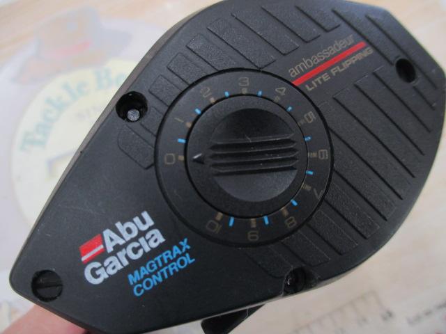 アンバサダーライトフリッピング