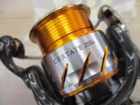 13セルテート 2004