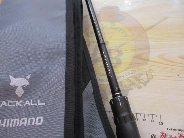 18ポイズンアドレナ 166H-SB