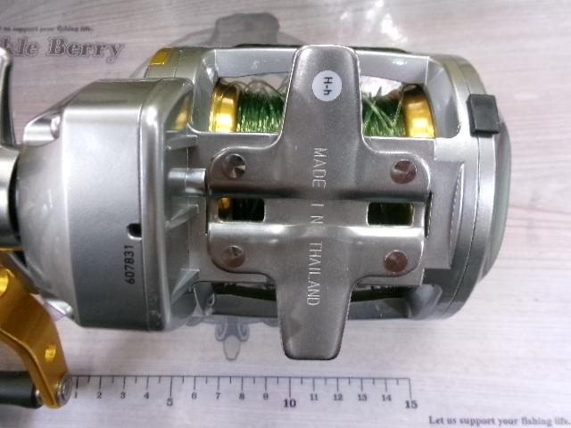 シーライン石鯛 40