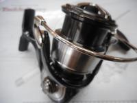 24セルテート LT2500-H