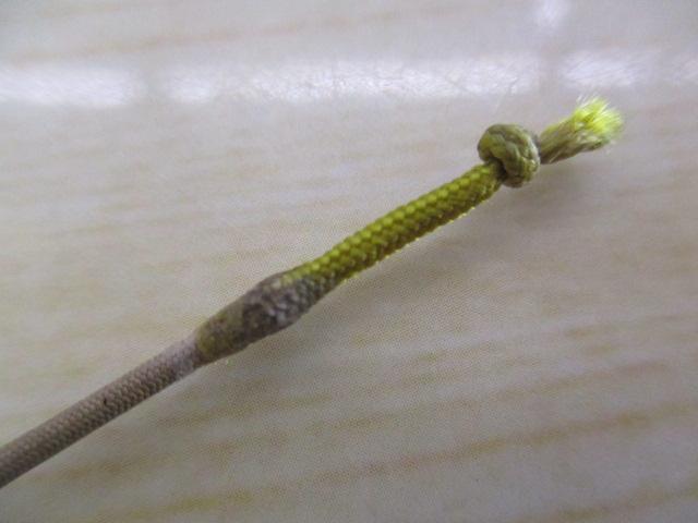 朱紋峰 ぬけさく 15