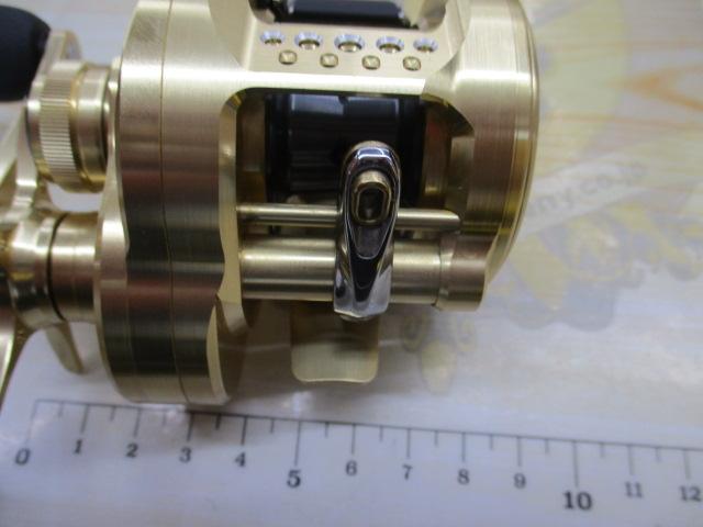 21カルカッタコンクエスト 100