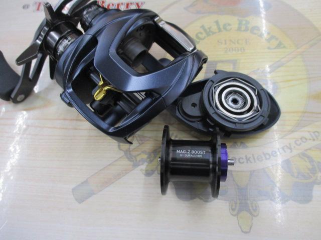 スティーズ AⅡ TW 1000XH