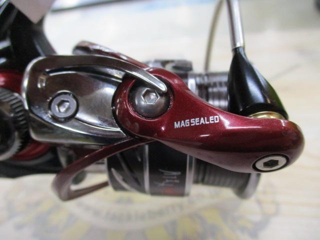 14月下美人 2004H