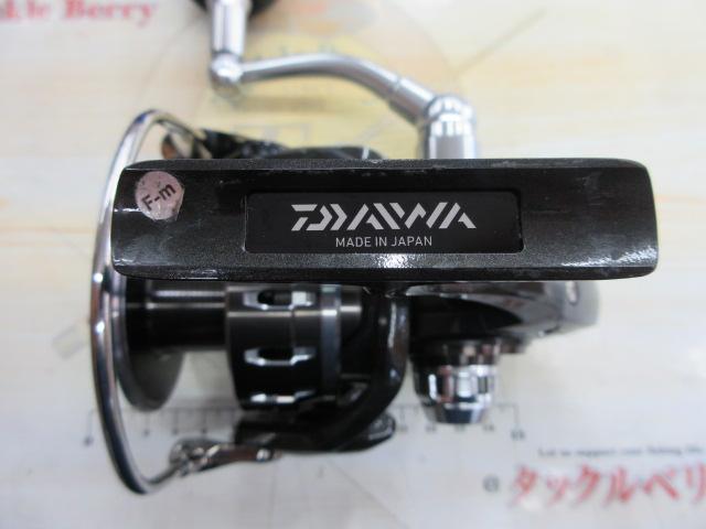 16キャタリナ 5000H