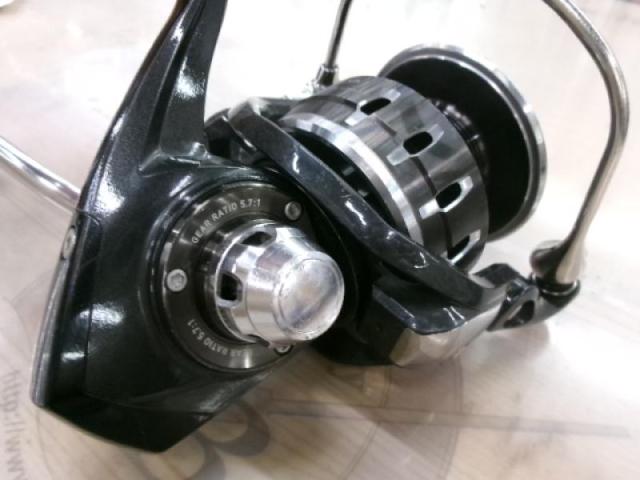 16キャタリナ 5000H