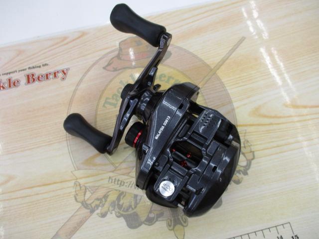 カシータスMGL 100 RH