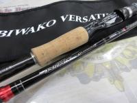 ポイズングロリアス 173MH BIWAKO VERSATILE X