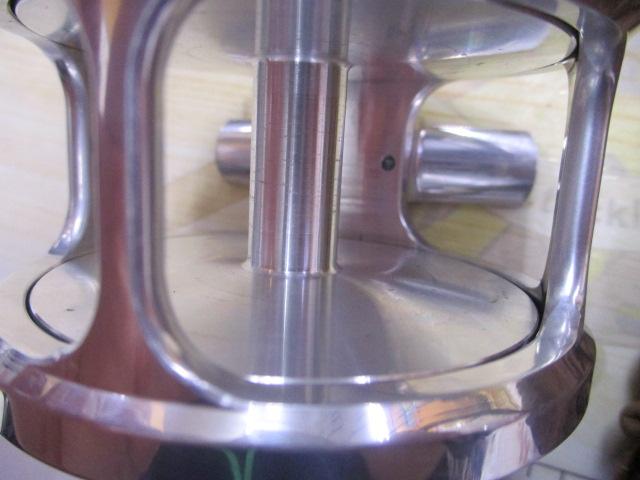 アルキュオン トラウト