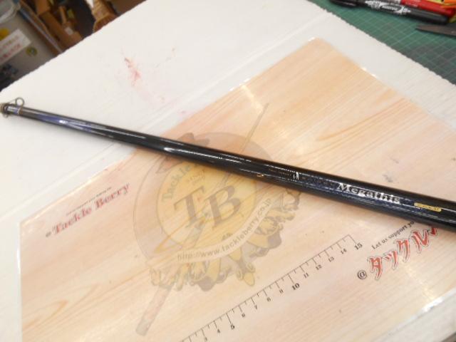 シデンメガディス 2-53HR