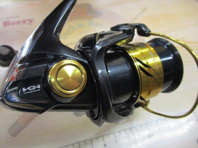 17ヴァンキッシュFWチューン 1000SHG