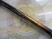 20ライアーム 1-530