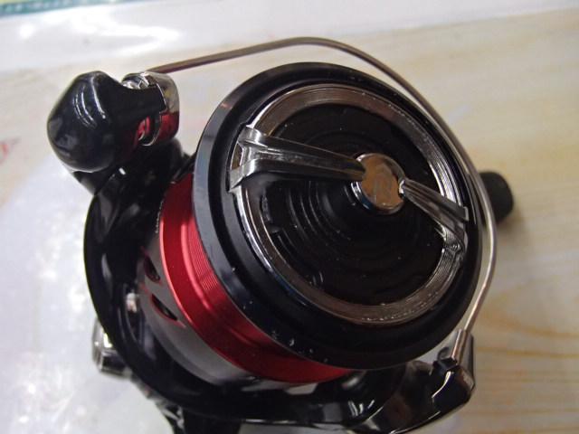 24月下美人X LT2000S-P