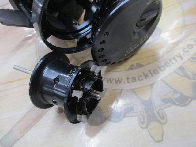 24カルカッタコンクエスト シャローエディション 31HG