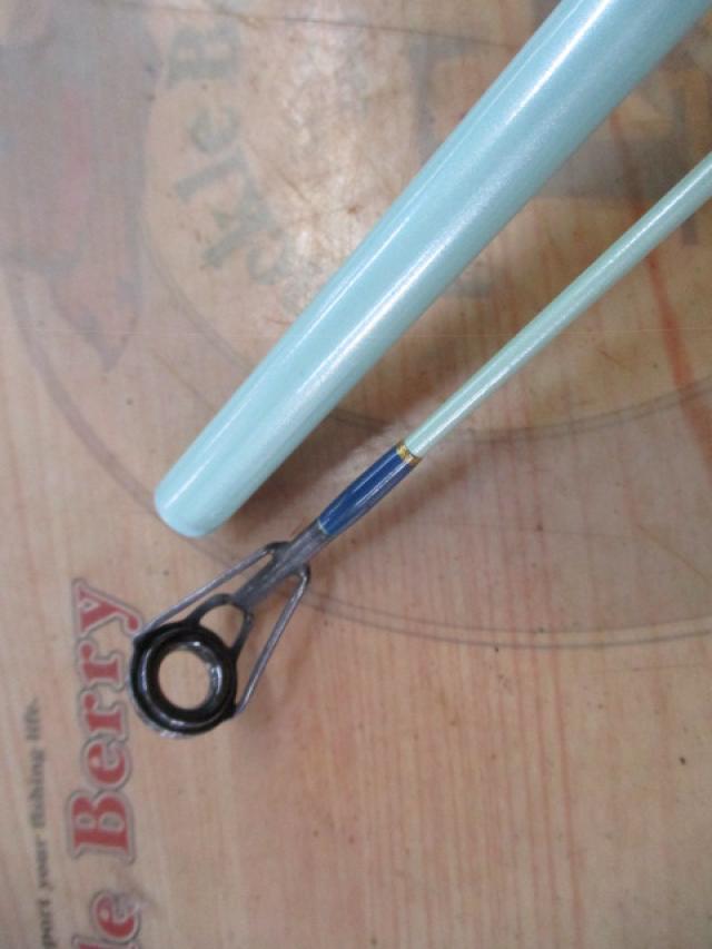 コーラルスター CSP-10616