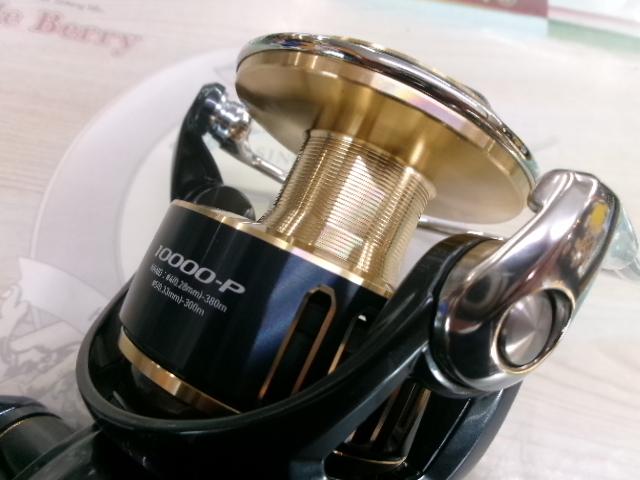 25ソルティガ 10000-P