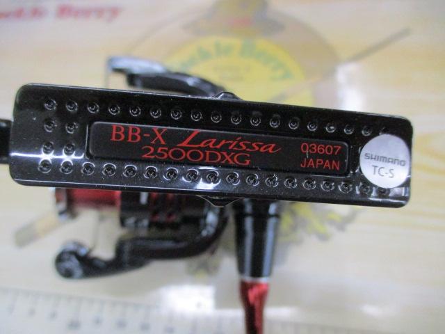 16BB-Xラリッサ 2500DXG