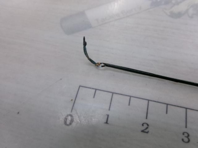 豊人中式魚心観 15.02