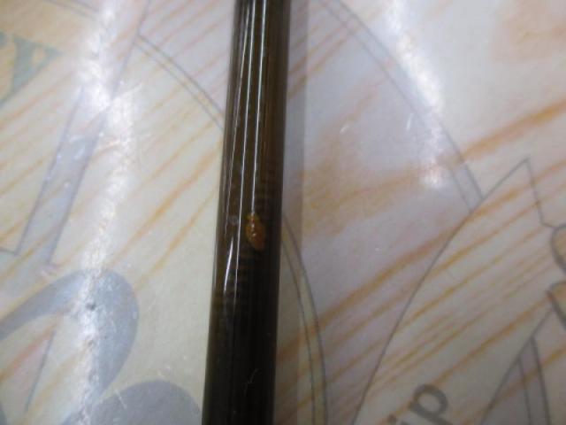 コルキッシュ CKS-68L