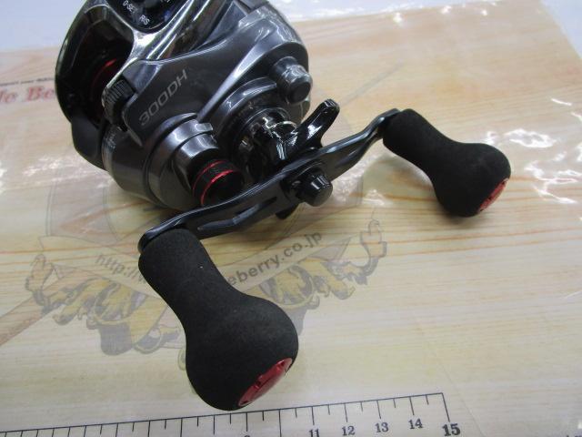 15フォースマスター 300DH