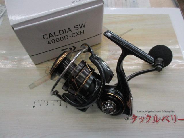 22カルディアSW 4000D-CXH