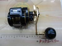 21ソルティガIC 300