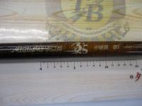 パワーループ鮎中硬調810